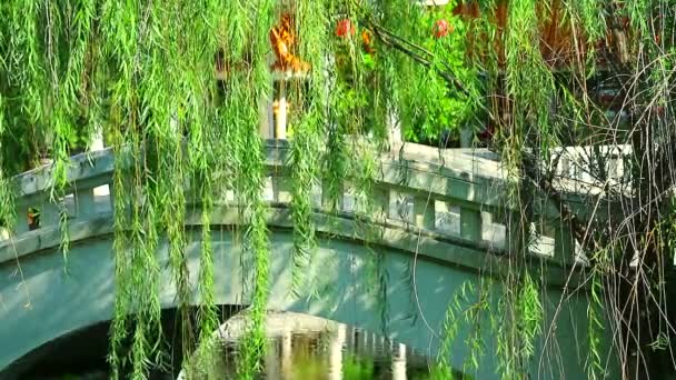 Ponte de concreto estilo chinês e salgueiro balançando no jardim2 — Vídeo de Stock