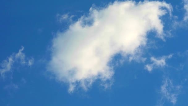 Zuivere hoop witte wolk bewegende op blauwe hemel tijd verval — Stockvideo