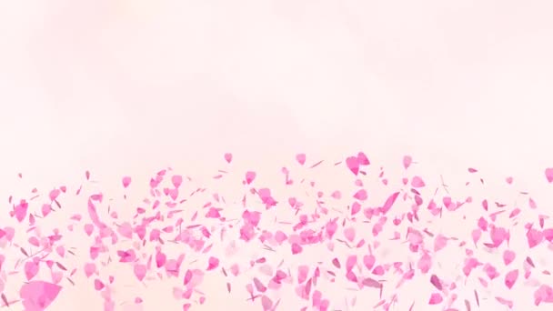 Million pink sakura leaves floating and fly in the air light rose background — 비디오
