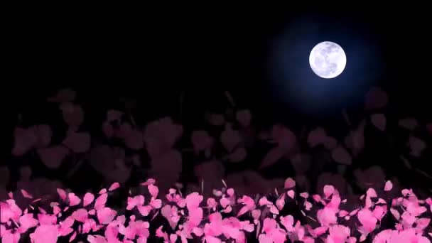 NOZOMI Миллион розовых листьев сакуры кружится и падает на пол медленно движется и полная луна — стоковое видео