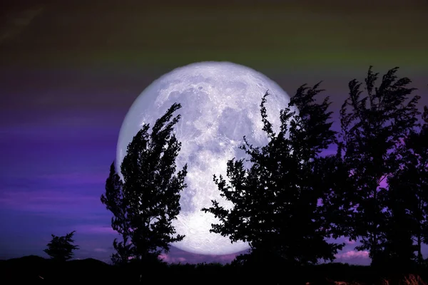 Vollmond Und Silhouettenbaum Feld Und Nachthimmel Elemente Dieses Bildes Von — Stockfoto