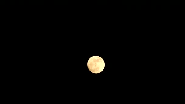 Lua cheia de carvalho laranja no céu da noite lapso de tempo — Vídeo de Stock