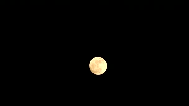 Pleine lune de chêne orange dans le ciel nocturne laps de temps 
