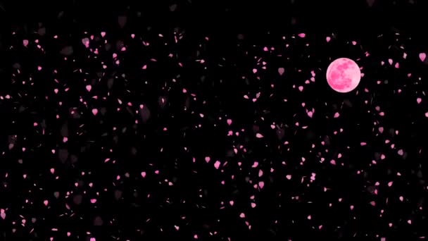 NOZOMI e milioni di foglie di sakura rosa cadono sul pavimento lentamente in movimento e luna piena rosa — Video Stock