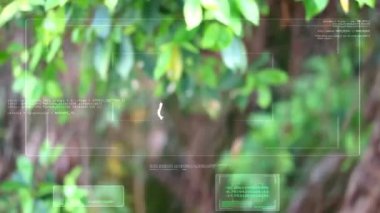 Havada uçan solucan ve Ai dijital tarama ve analiz metni ölçer ve çubuğu