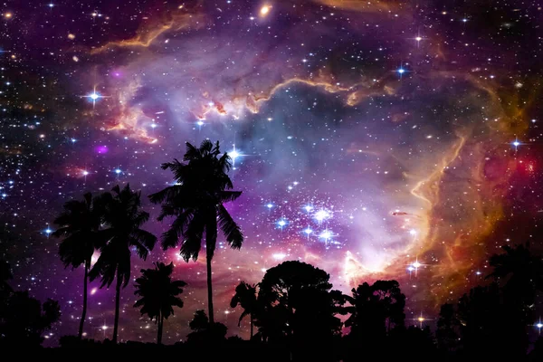 Nebulosa Och Galax Rymden Tillbaka Silhuett Kokosnötsträd Och Natthimmel Delar — Stockfoto