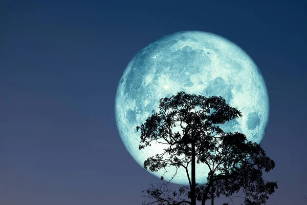 실루엣 나무와 구름에 보름달 Nasa에 제공이 이미지의 — 스톡 사진