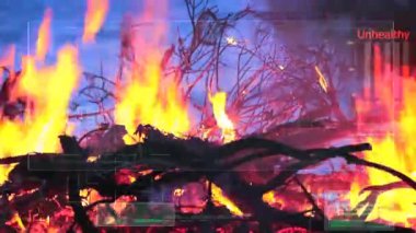 Odun ve çöp yakmak çevreye çöp depolama ve dijital analiz yapay zekasından daha fazla kirlilik yaratır.