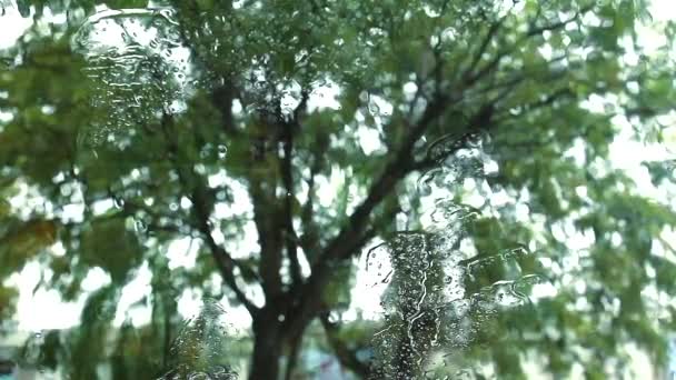 雨下得很大，司机正在停车场停车 — 图库视频影像