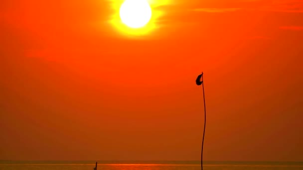 Silhouet flage op de zee zonsondergang terug op de rode hemel1 — Stockvideo