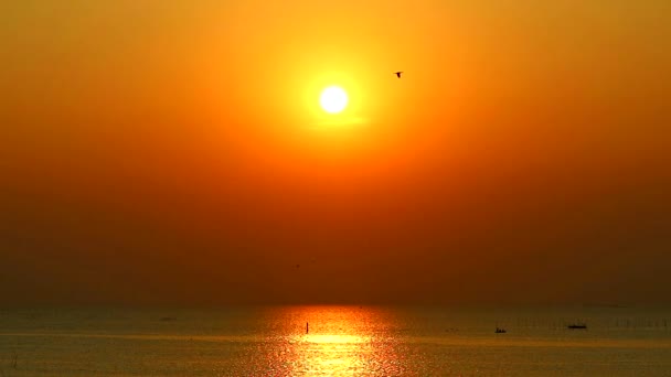 Západ slunce a červený mrak na obloze nad mořem a rybářský člun míjející a ptáci létající 1 — Stock video