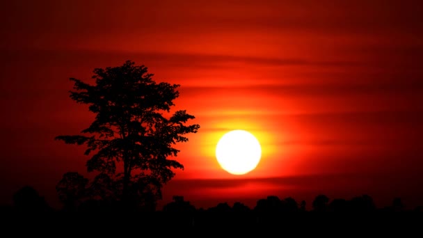 Auringonlasku punainen taivas ja super sininen kuu nousevat takaisin pilvi ja siluetti puita — kuvapankkivideo