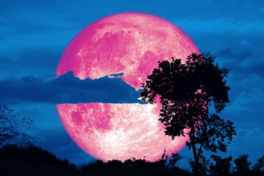 Tam Kabuklu Pembe Ay ve siluet ağacı tarlada ve gece gökyüzünde NASA tarafından döşenmiş bu görüntünün elementleri
