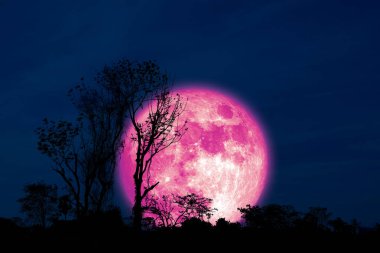 Tam Kabuklu Pembe Ay ve siluet ağacı tarlada ve gece gökyüzünde NASA tarafından döşenmiş bu görüntünün elementleri
