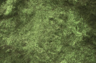 İç duvar kağıdı ve arka plan için mağaranın eski kuru yeşil yosun granit yüzeyi