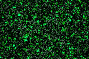 koyu zümrüt soyut çizgiler sanat mermer desenler lüks iç duvar fayansları