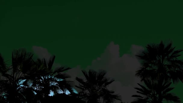 4k super aqua lua subir de volta na silhueta plam árvores no céu noturno — Vídeo de Stock