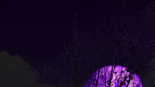 4k Super luna púrpura subir de nuevo en la silueta árbol seco en el cielo nocturno — Vídeo de stock