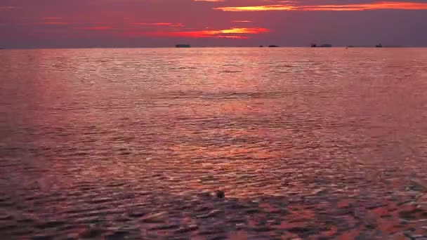 Sfocatura dei rifiuti sull'acqua e tramonto sul mare focus sullo sfondo — Video Stock