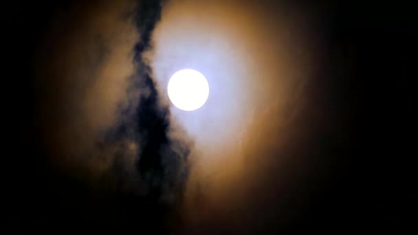 Volle maan aan de nachtelijke hemel zachte en donkere wolk bewegende pas — Stockvideo