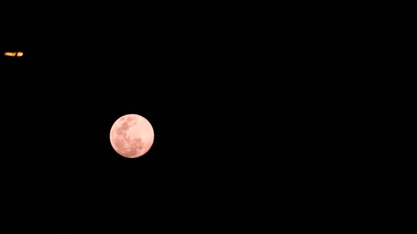 橙色月亮向后升起轮廓电力线路夜空 — 图库视频影像