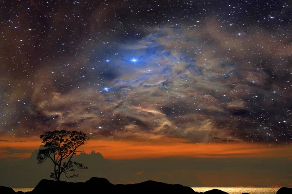 Silueta Árbol Seco Campo Nebulosa Cielo Nocturno Elementos Esta Imagen — Foto de Stock