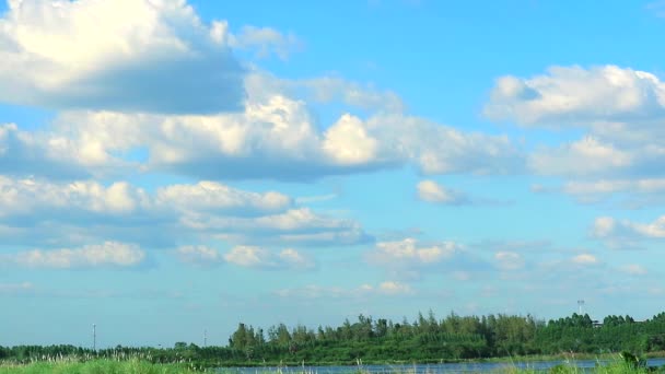 Céu azul bonito e nuvens brancas lento se movendo sobre lago e campo — Vídeo de Stock