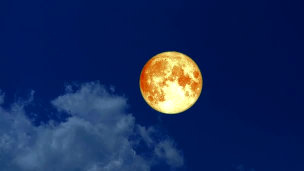 Полная луна движется по ночному небу и движутся облака — стоковое видео