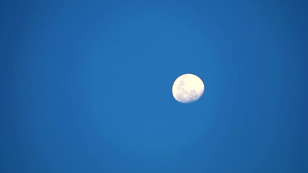 Demi lune lever sur le ciel bleu foncé temps lapes — Video