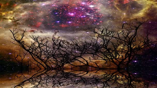 Panorama der Wasseroberfläche Spiegel des Nebels Galaxie Reflexion über den See und Silhouette trockener Baum — Stockvideo