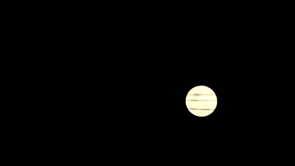 Super pink moon rise back silhouette power electric line — Stock Video