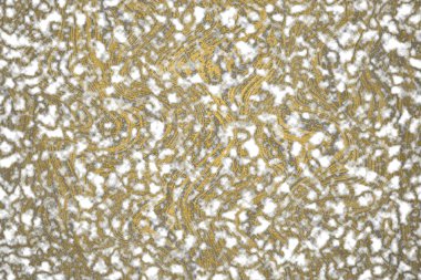 Altın mineral beyaz mermer granit desen ve lüks iç duvar döşemesi ve zemin dokusu arka plan