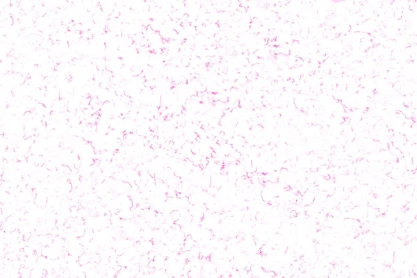 Прозорий Світло Рожевий Білий Мармур Текстури Розкішний Інтер Стін Фону — стокове фото