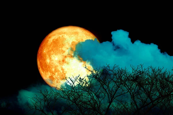 Lua Morango Sangue Cheio Volta Nuvem Árvore Campo Céu Azul — Fotografia de Stock