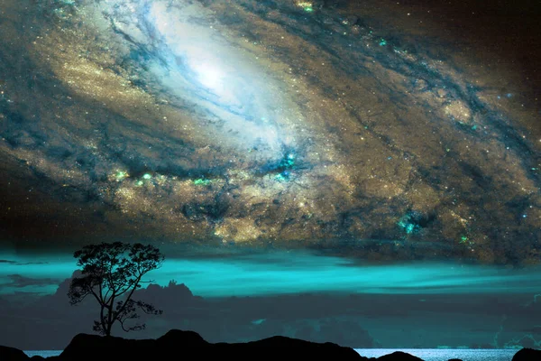 Сухе Дерево Полі Галактиці Нічному Небі Елементи Цього Зображення Надані — стокове фото