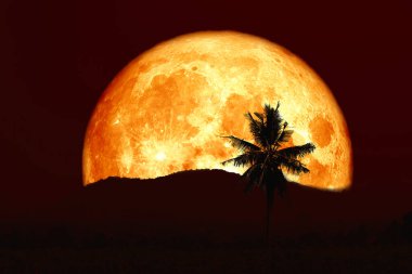 Süper kanlı ay ve siluet hindistan cevizi ağacı dağı gece kızıl gökyüzünde, NASA tarafından döşenmiş bu görüntünün elementleri