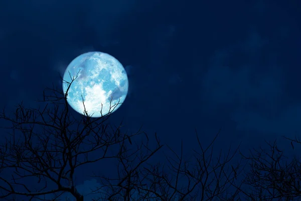 Lua Azul Volta Silhueta Nuvem Macia Árvore Branck Seco Céu — Fotografia de Stock