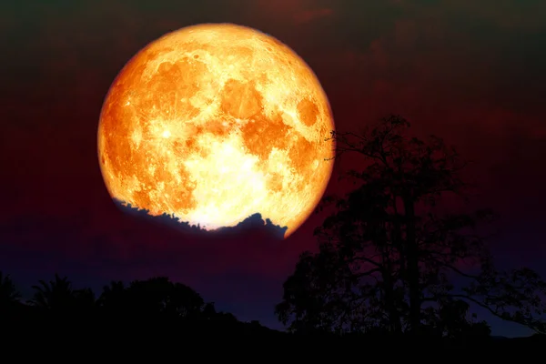 超级血草莓月亮背面的云彩和树上的田野 这个图像的元素由美国宇航局提供 — 图库照片
