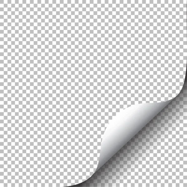 Rizos Página Con Sombra Hoja Papel Blanco Elemento Vectorial Para — Archivo Imágenes Vectoriales