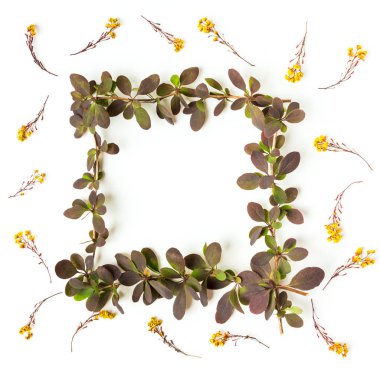 sarı çiçek ve yaprakları desen beyaz arka plan üzerinde. Düz yatıyordu.