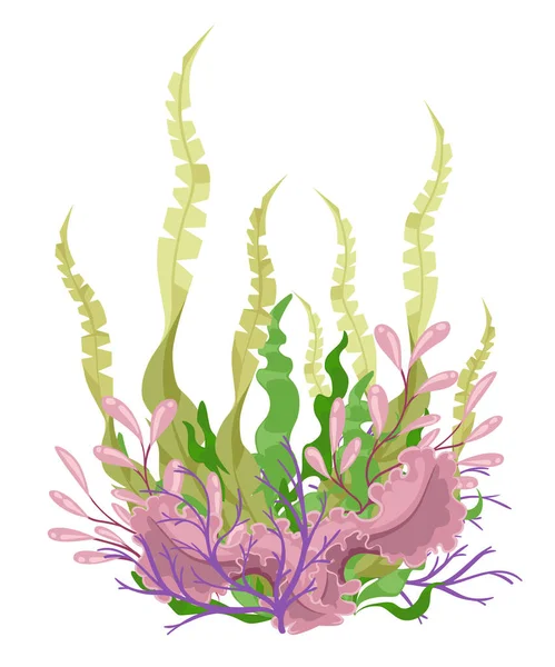 Zee-planten en aquatische mariene algen zeewier instellen vectorillustratie. Gele en bruine, rode en groene aquarium — Stockvector