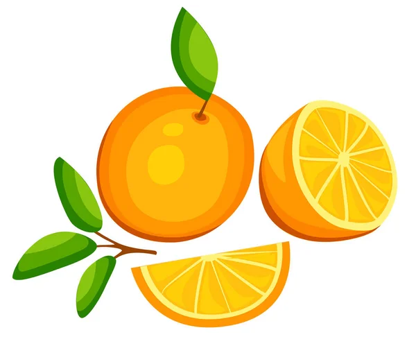 Πορτοκαλί φρούτα διάνυσμα απομονωμένες σύνολο συσκευασία σχεδιασμός μανταρίνι χυμό φρέσκο πορτοκαλί σύνθεση σε λευκό φόντο εικόνα — Διανυσματικό Αρχείο
