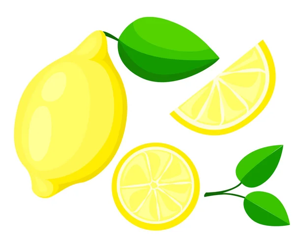 Διάνυσμα λεμόνι. Φρέσκο λεμόνι φρούτων, συλλογής του εικονογραφήσεις φορέα απομονωμένη ρύθμιση συσκευασία ξινή σχεδιασμό χυμό εσπεριδοειδών — Διανυσματικό Αρχείο