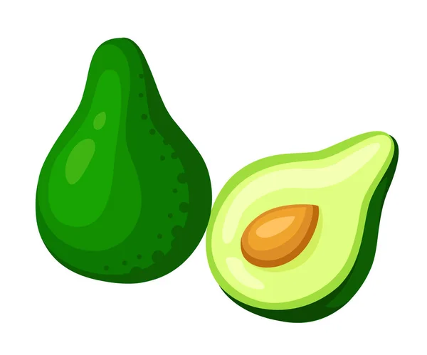 Vectorillustratie avocado's. Hele en geknipte avocado geïsoleerd op witte achtergrond. — Stockvector