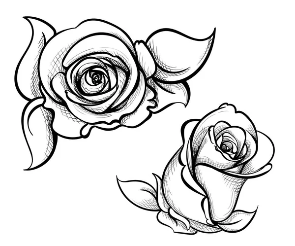 Bloem rozen illustratie Hand getekende bloem instellen, roos collectie — Stockvector