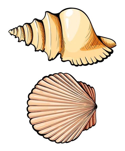 Desenho à mão Conjunto concha do mar, coral, caranguejo, camarão e polvo. Vector gravura preta ilustrações do vintage. Isolado sobre fundo branco . — Vetor de Stock