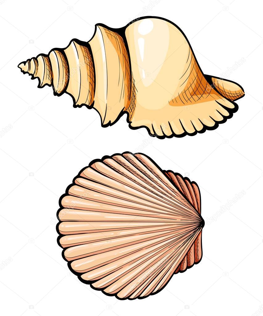 Hand draw Set sea shell, coral, crab, shrimp and octopus. Vector black engraving vintage illustrations. Isolated on white background.