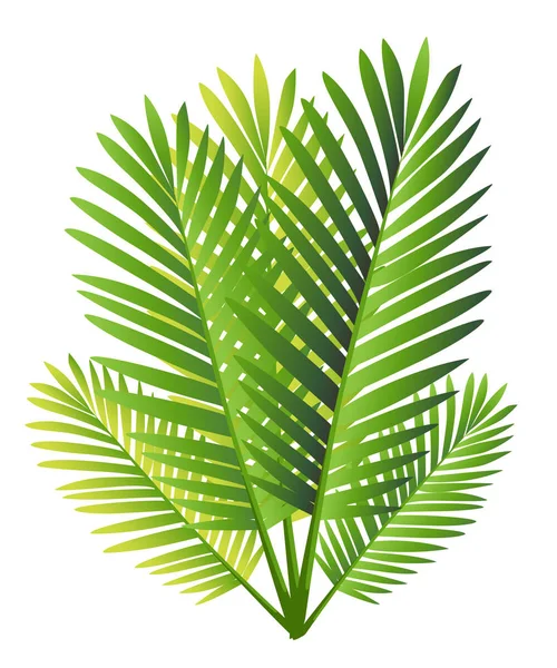 Набор тропических листьев пальм - для элементов дизайна, скрапбукинга в векторном летнем фоне для сайта или брошюры — стоковый вектор