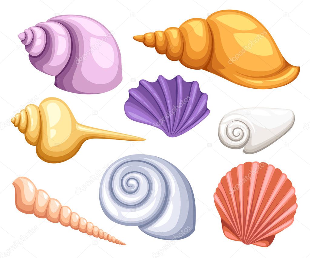 Colorful tropical shells underwater icon set frame of sea shells, vector illustration.Summer concept with shells and sea stars. Round composition, starfish, nature aquatic. Vector illustration