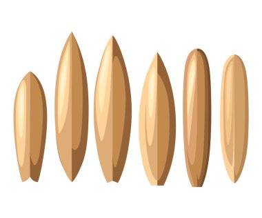 Vektör sörf çizim düz stil tasarım Isolated beyaz arka plan rengi sörf tahtası üzerinde ayarlayın. Deniz aşırı spor desen. Vektör çizim